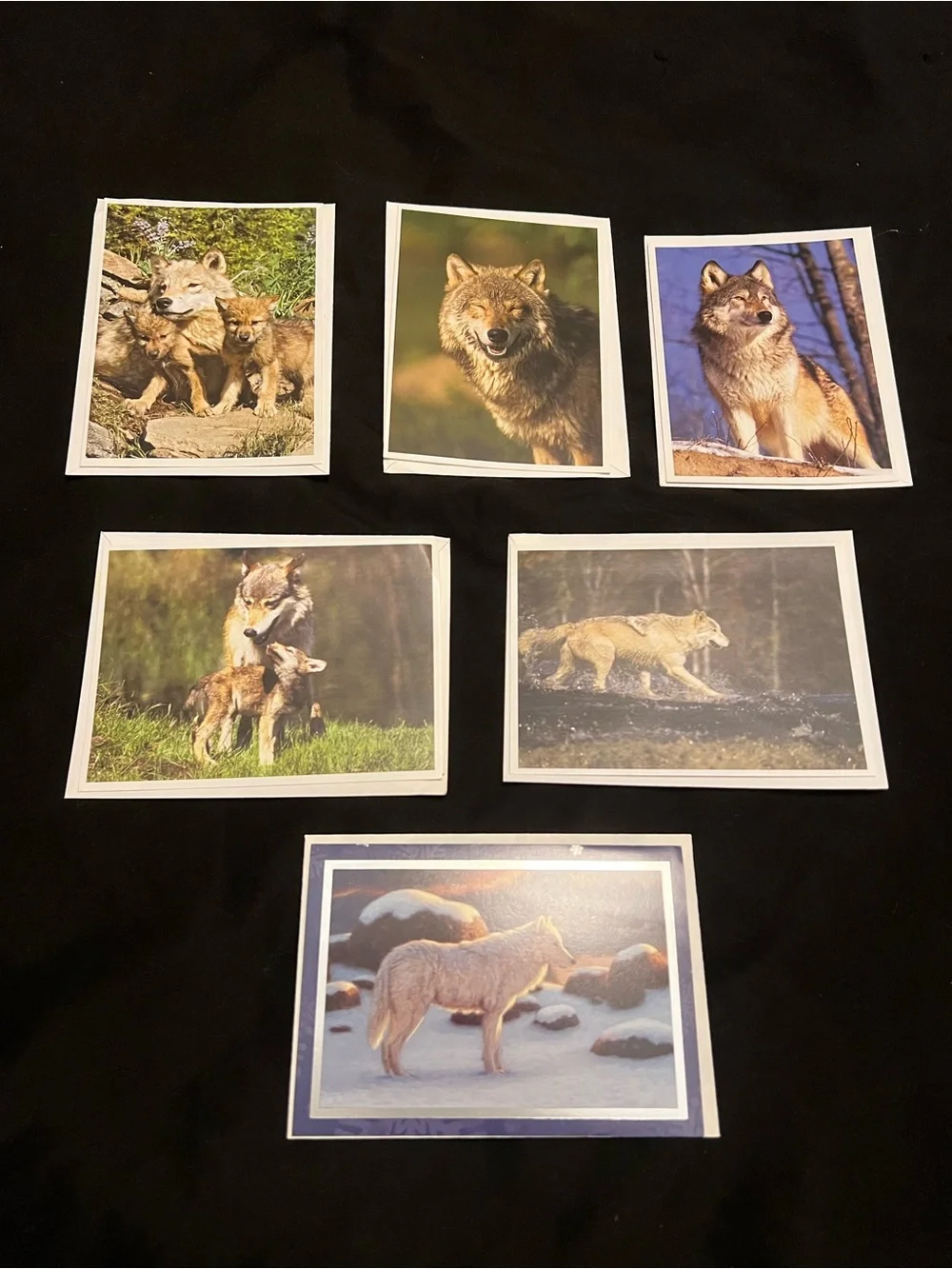 Wolf Greeting Card Bundle